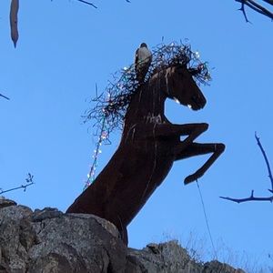 Meet your Posher, Belinda